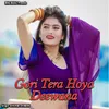 Gori Tera Hoya Deewana